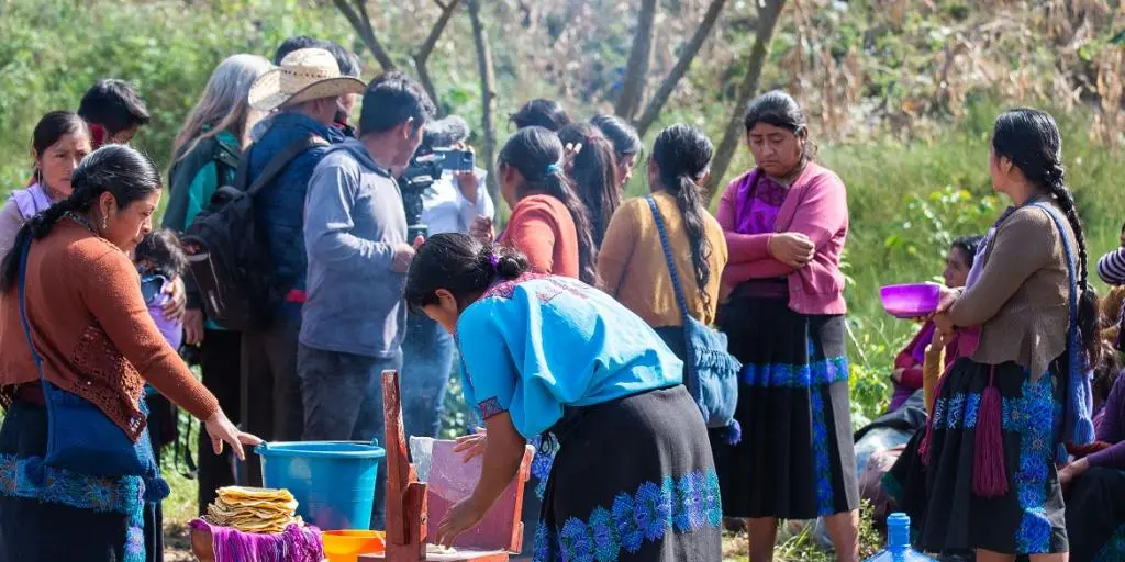 Indígenas Chiapanecos Denuncian Desplazamiento Forzado Y Muertos Tras