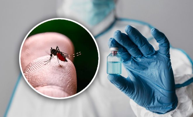 La FDA aprueba la primera vacuna del mundo contra el Chikungunya