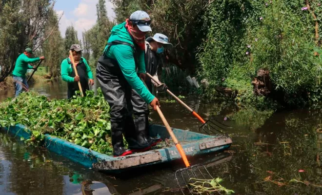 Contaminación en canales de Xochimilco afecta a la comunidad y la fauna