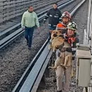 Rescate de un perro interrumpe circulación en la Línea B del Metro de la CDMX