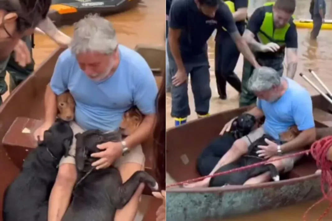 Hombre llora tras reencontrarse con sus amigos peludos en Brasil