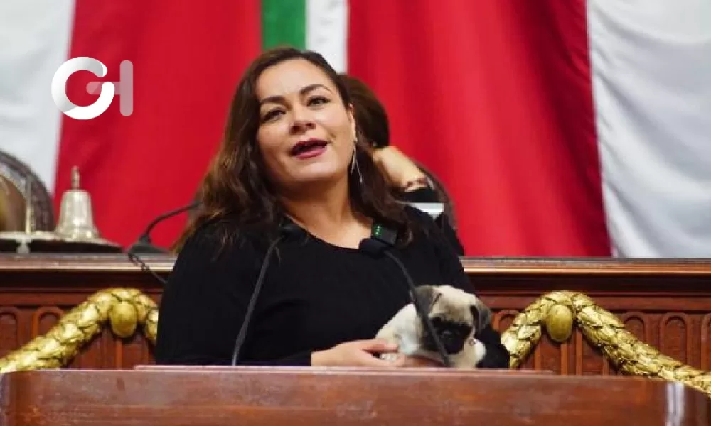 Negocios Pet Friendly en la CDMX: La Iniciativa de Inclusión de Elizabeth Mateos