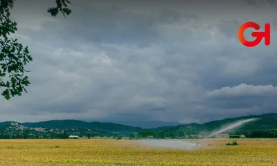 Conagua detecta 7,000 irregularidades en concesiones de agua destinadas a uso agrícola